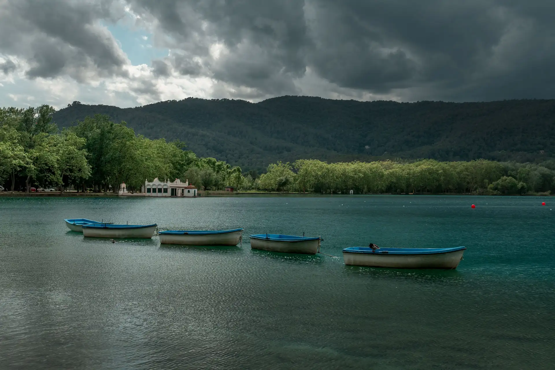 Aquí va una foto que identifica a la sección
