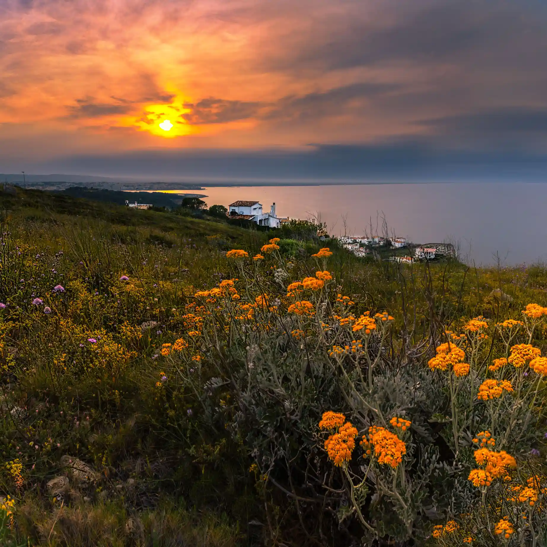 Aquí va una foto que identifica a la sección